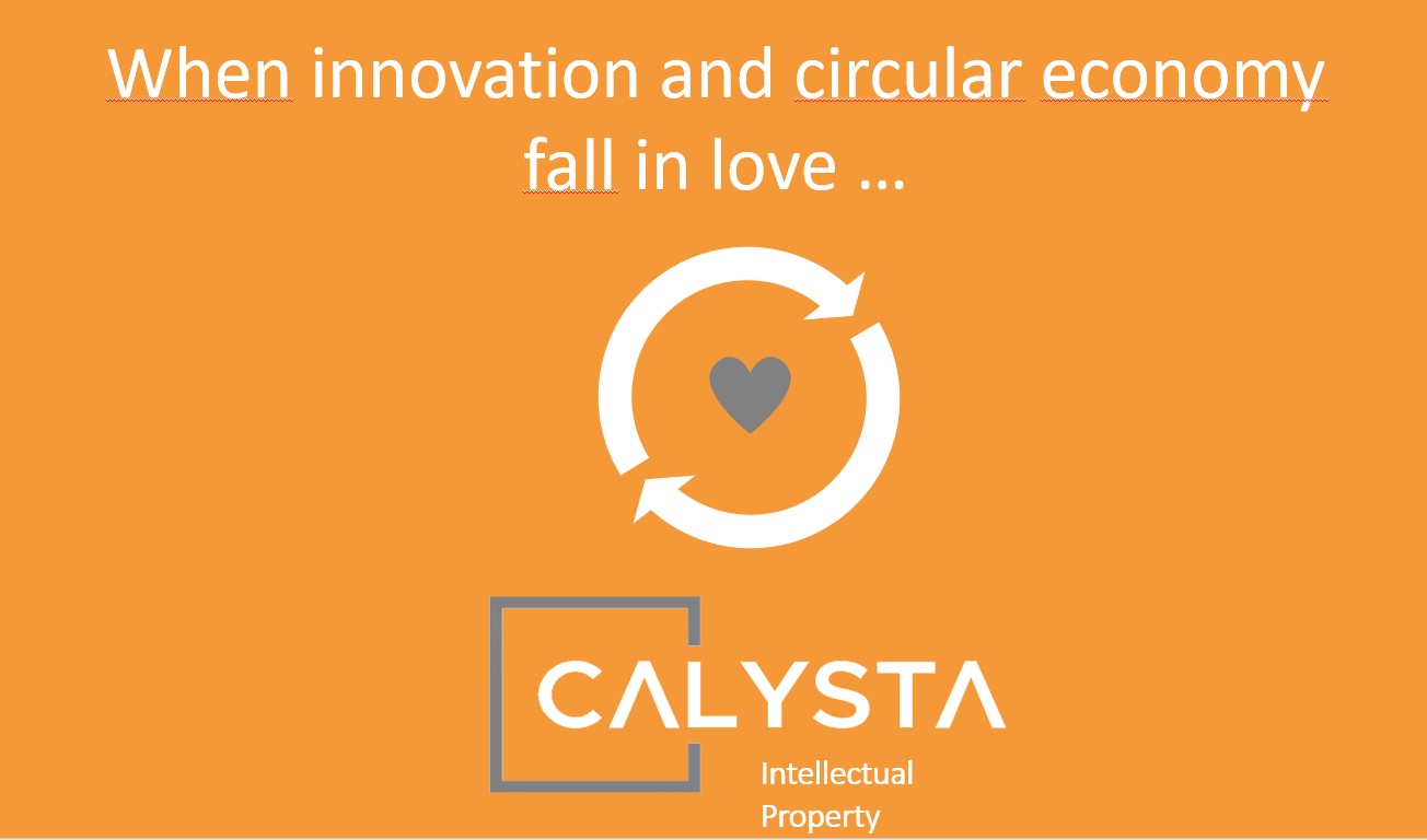 When innovation and circular economy fall in love …