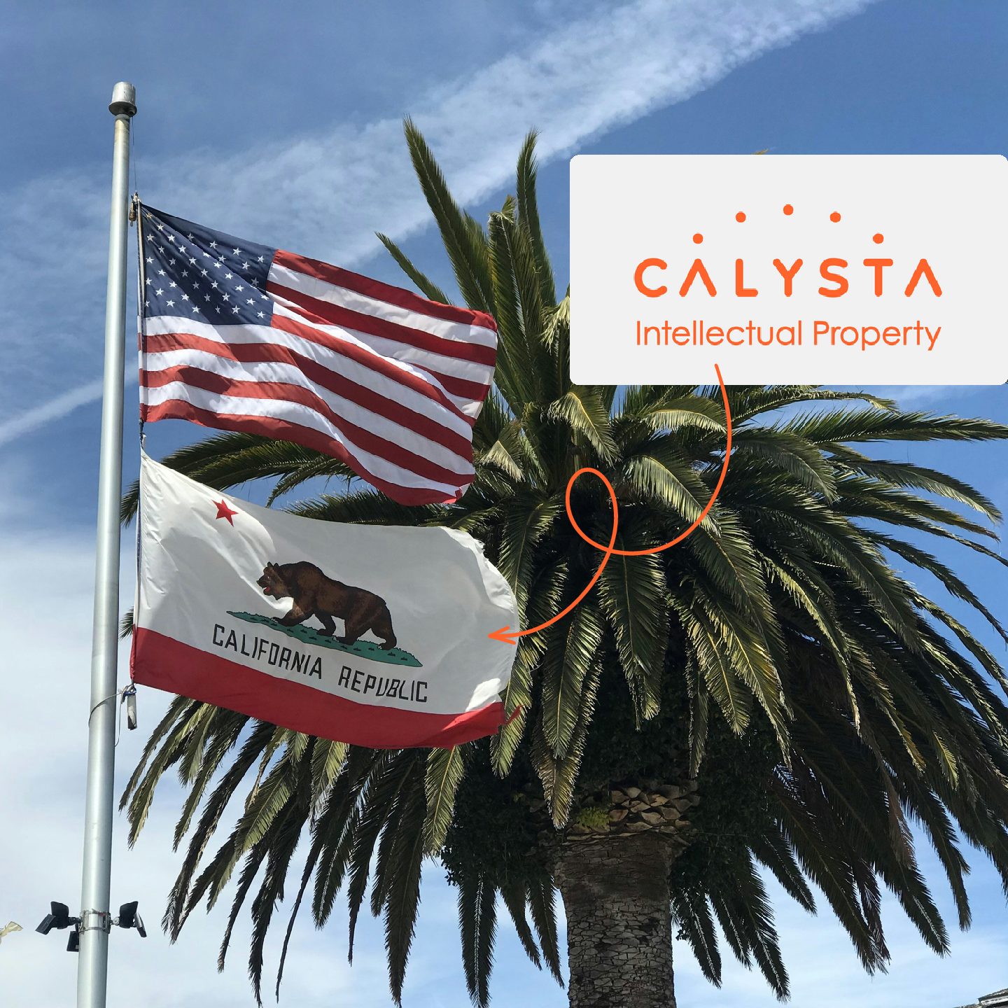 Interview Peter Buckinx Calysta in the USA
